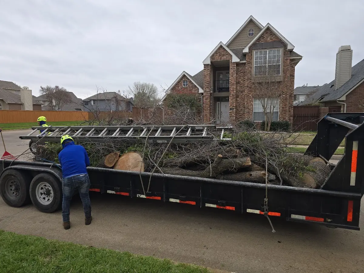 Expert Lot Clearing with proper safety equipment in Cool